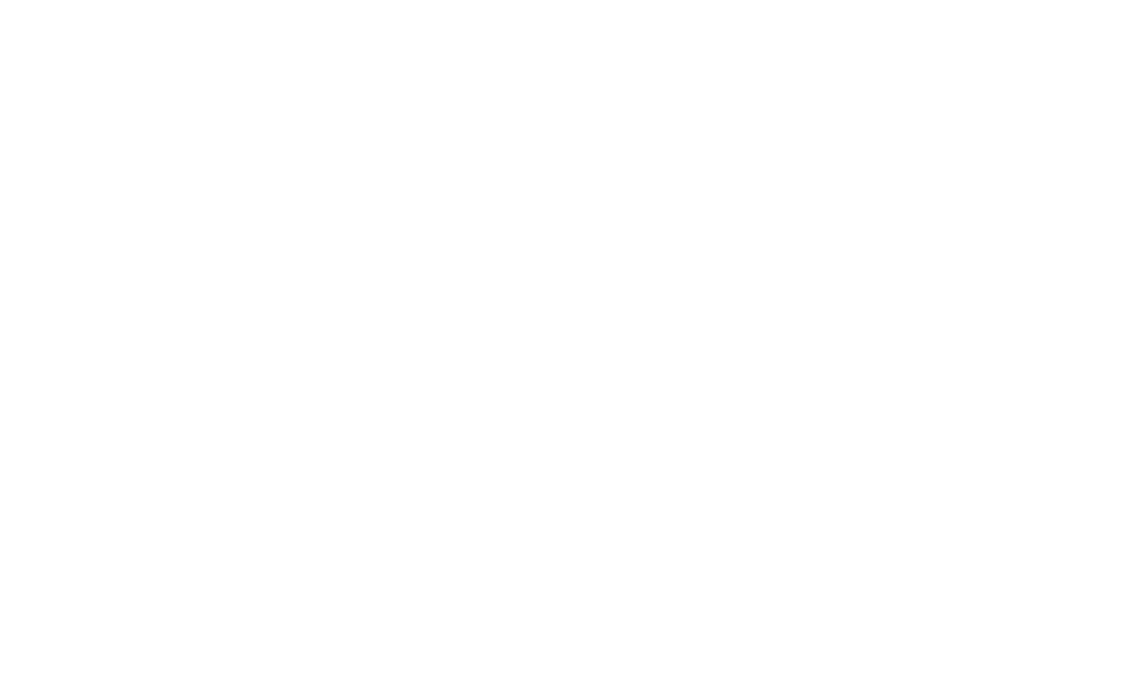 logo punto cargo blanco cn slogan@3x