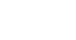 logo Puntocargo monocolor blanco